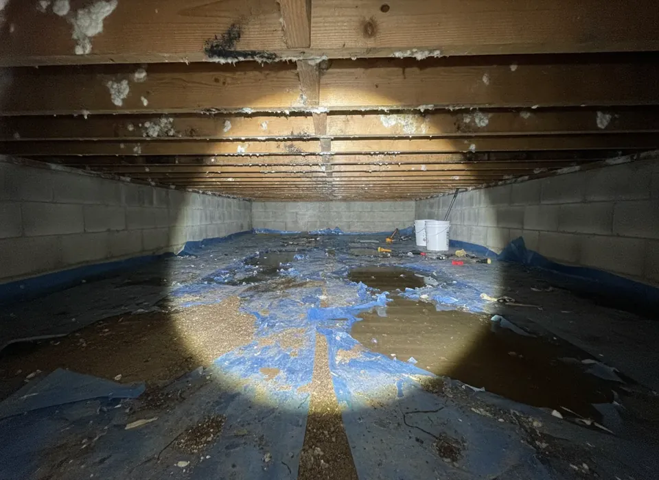 Mold on floor joists in a damp crawl space